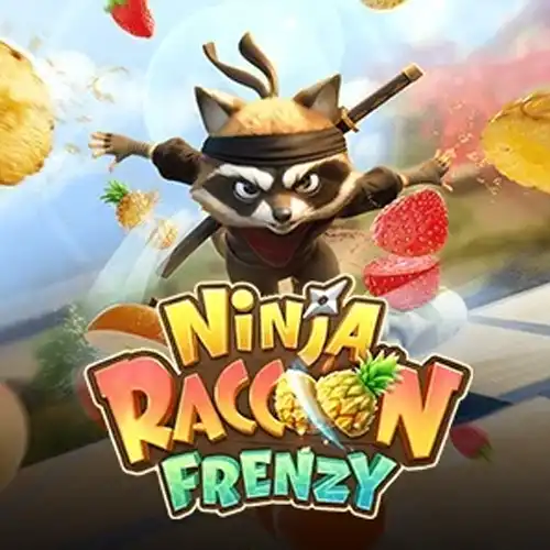 Ninja Raccoon Frenzy