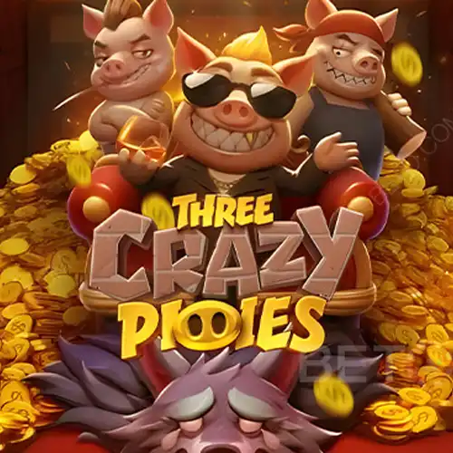 Three Crazy Piggies