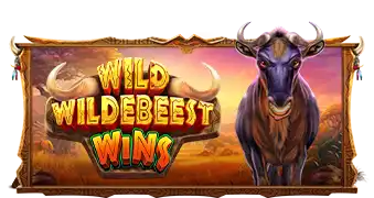 Wild Wildebeest Wins